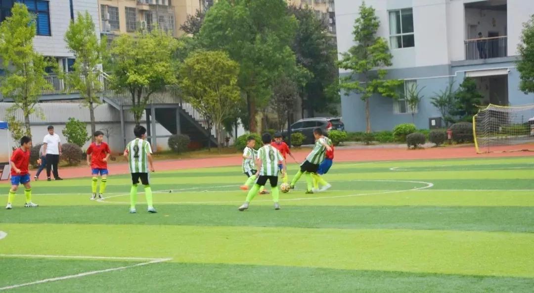 2020浦城小学生男足联赛落幕派迪茵体育试点校斩获冠亚军