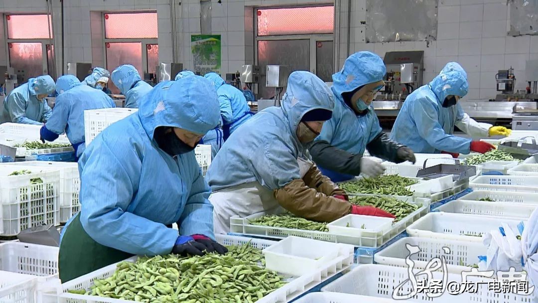 调整和优化产业结构的目标,黑龙江省2019年产业结构