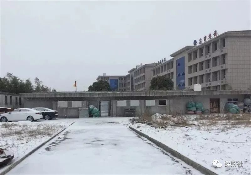 少年天才成一代“矿霸”,3个月豪赚2亿,却离奇失踪