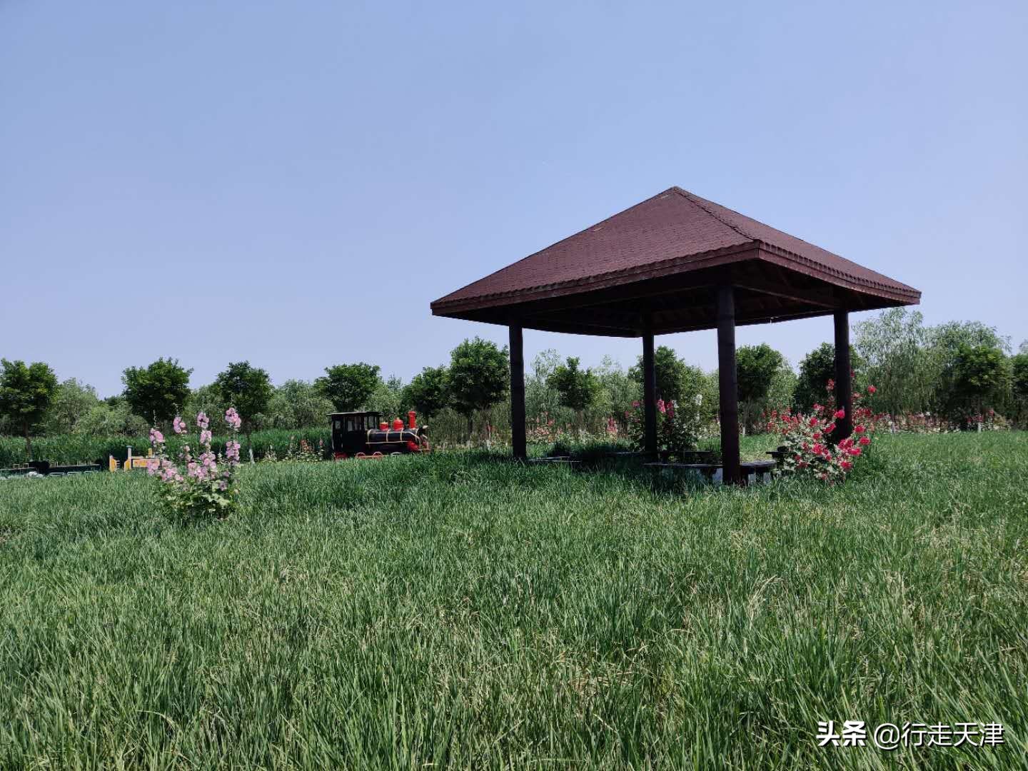 天津游玩景点推荐适合小孩,天津儿童游玩景点推荐