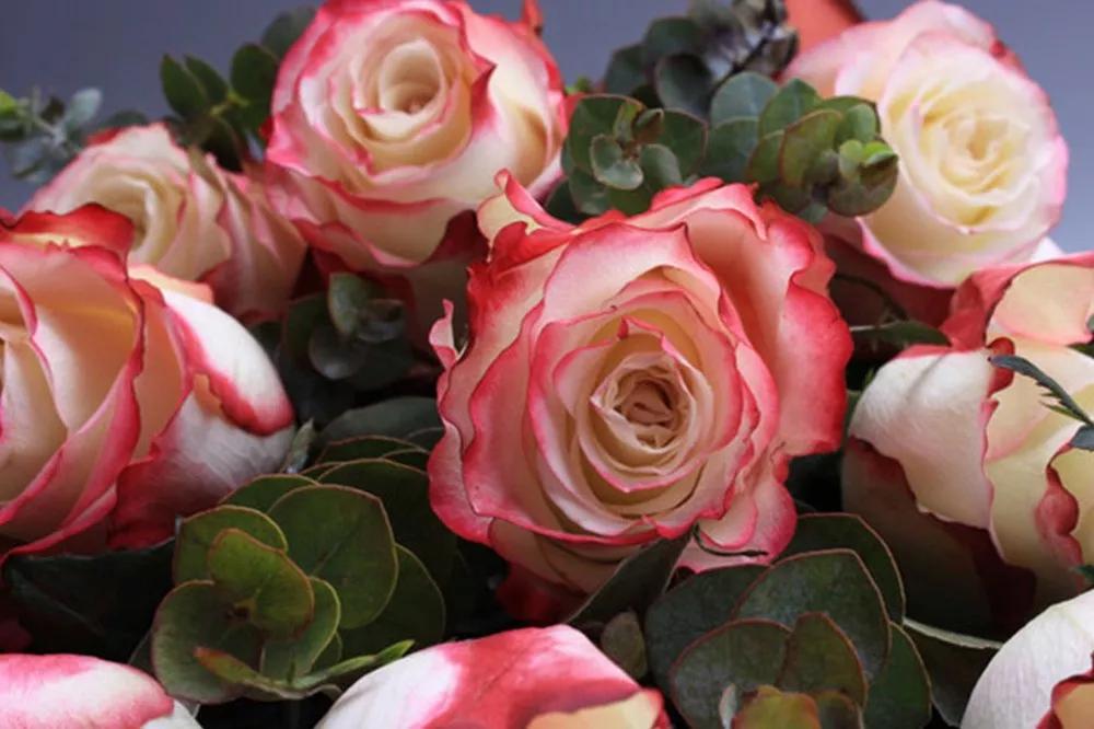 花店必备的5款玫瑰,花店常用的10款玫瑰花是哪些品种