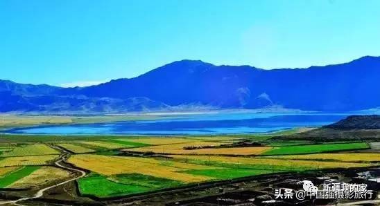 又一封辞职信火了，*疆新**人已传疯