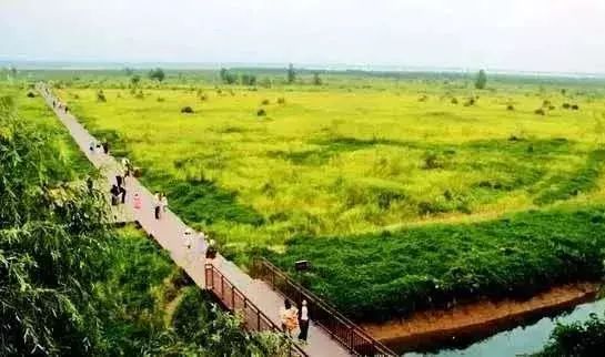 端午节郑州一日游,郑州端午旅游推荐2-3天游