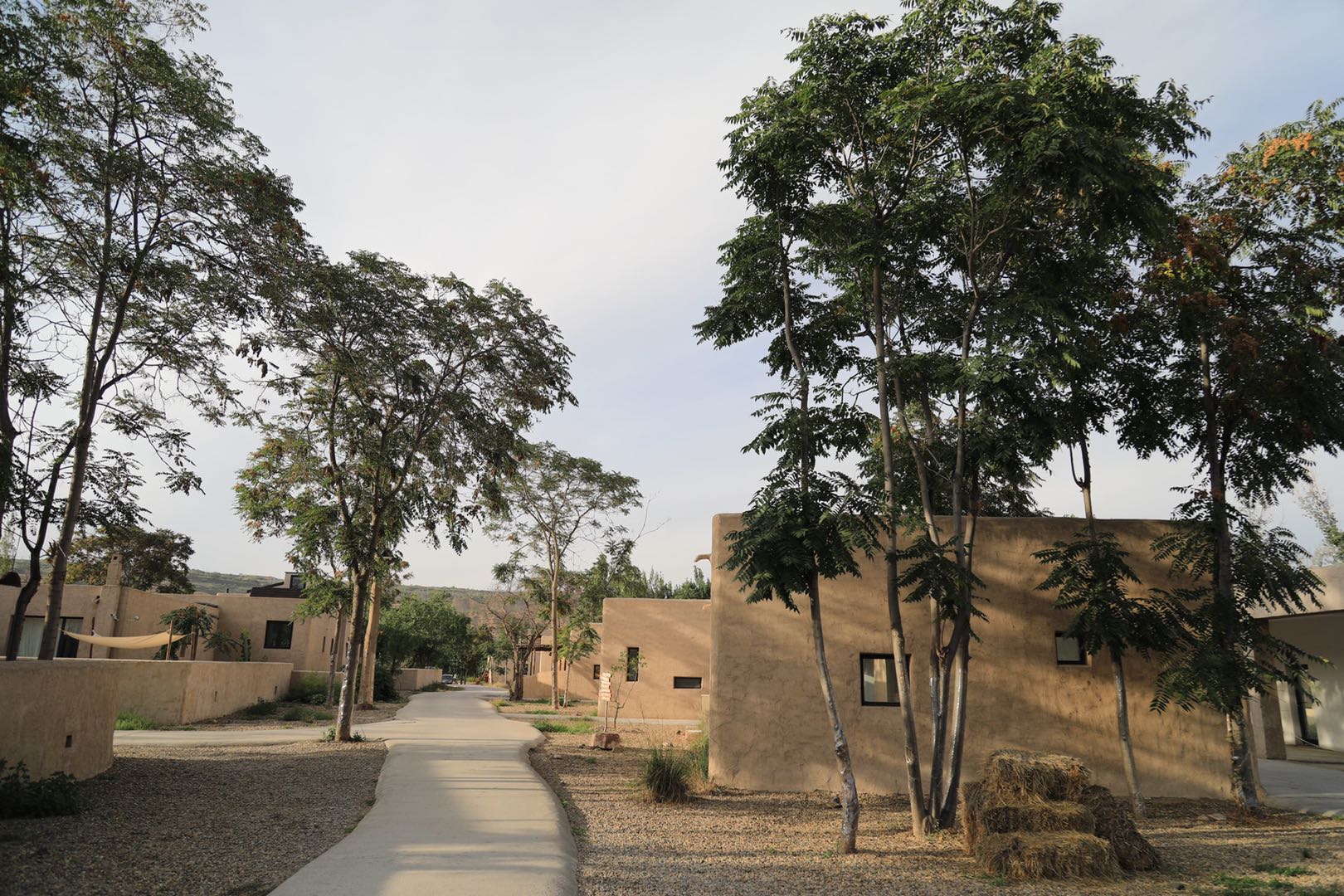 在沙坡头的刷赞住宿