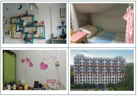 高职高考广东岭南职业技术学院,广东岭南职业技术学院高职宿舍