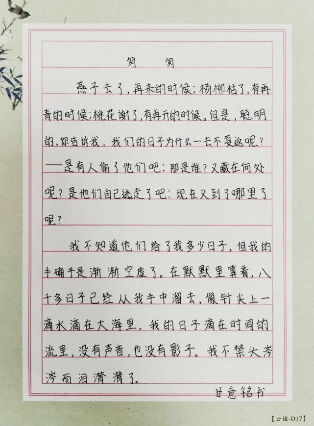 北京东方红的小朋友们,北京东方红学校教学如何