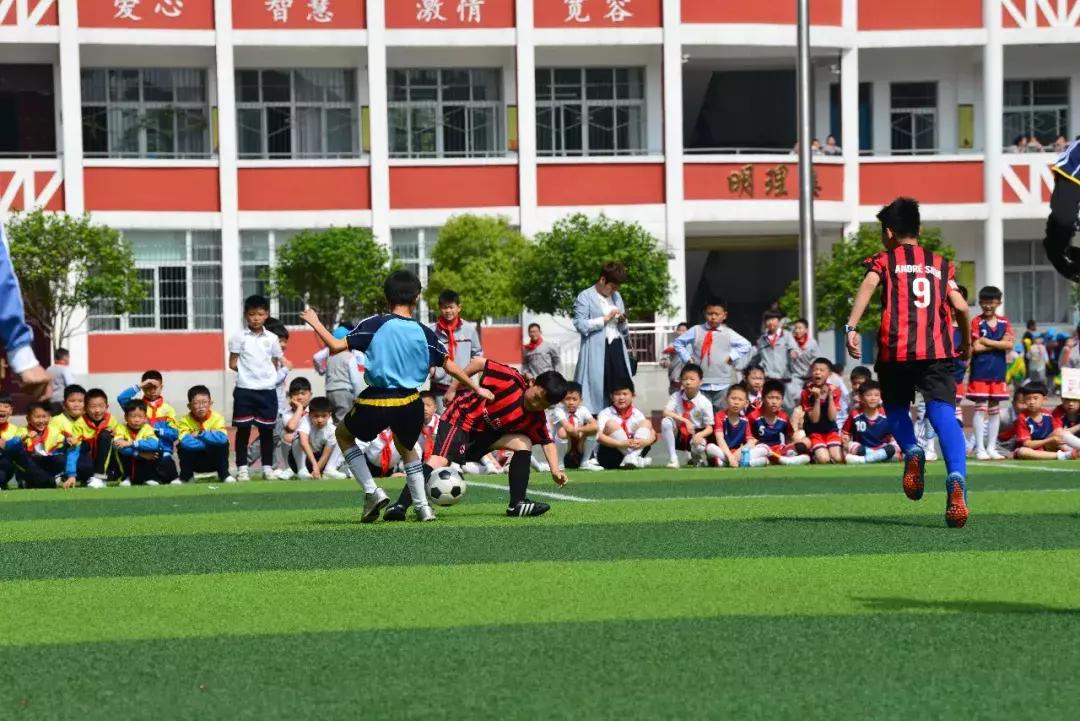 绿茵草地挥斥方遒阳光体育梦圆今朝