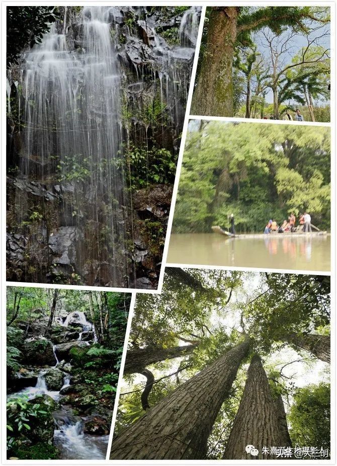 家在景区,家在公园旁是一种怎样的体验