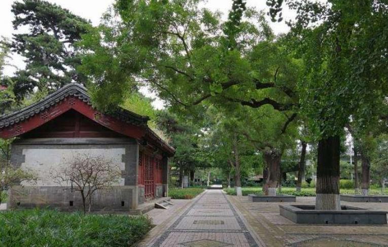 北京的公主坟到底有没有公主,北京公主坟已经被挖掘了吗