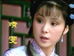 红楼梦贾宝玉人物形象分析和评价,红楼梦贾宝玉竟乞讨到袭人家门口