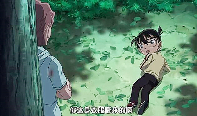 柯南一句话,柯南一句话激怒了小哀和小兰