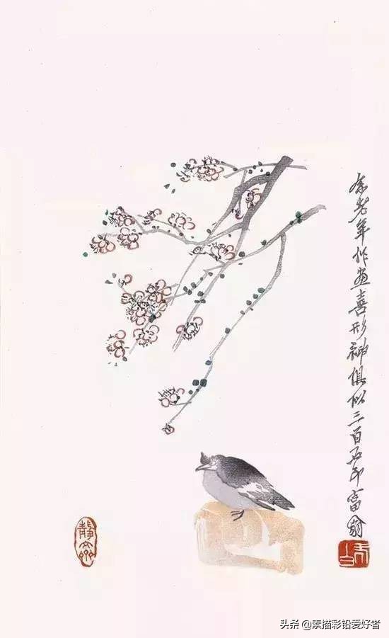 写给鲁迅的先生的一封信,高级的信