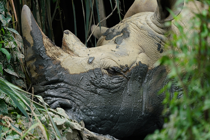 索尼fe50mmf2.5gm测评,索尼fe24f1.4gm大师镜头评测