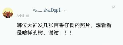 谁的串烧最好听,谁的串最多