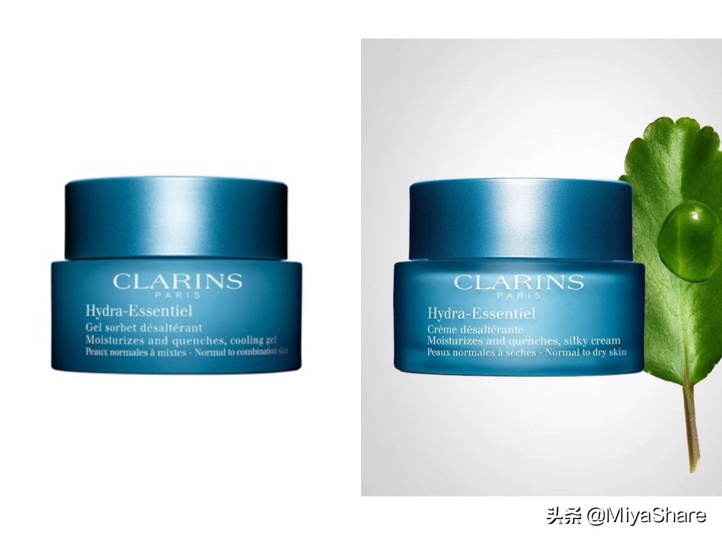 娇韵诗不死鸟面霜成分表,娇韵诗弹力面霜日霜晚霜测评