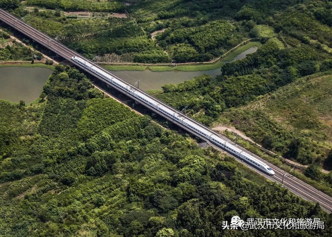 武汉环城绿道,武汉上半年全线贯通的新绿道