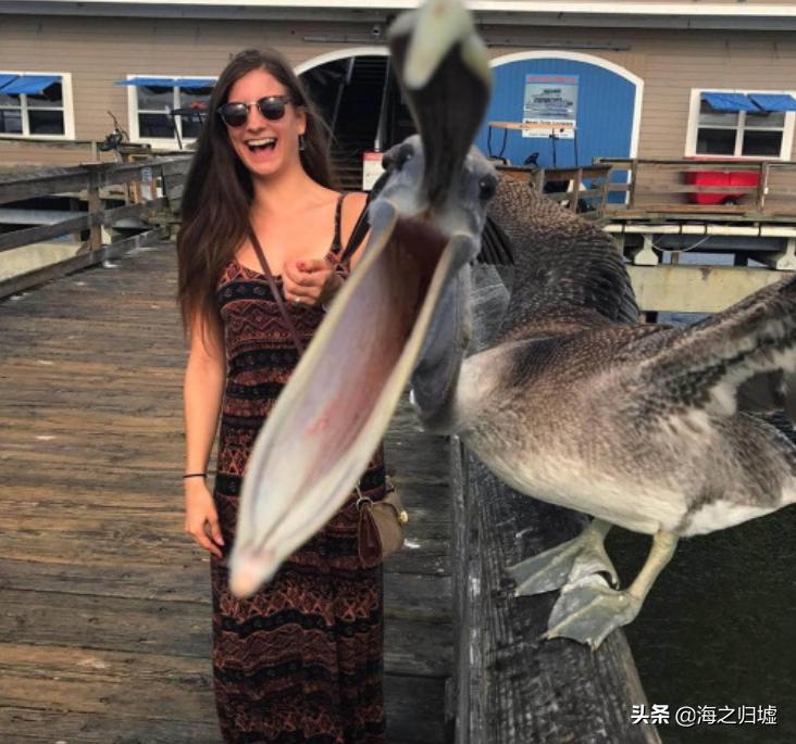 神级抓拍图片,25张令人惊叹的“神”级抓拍