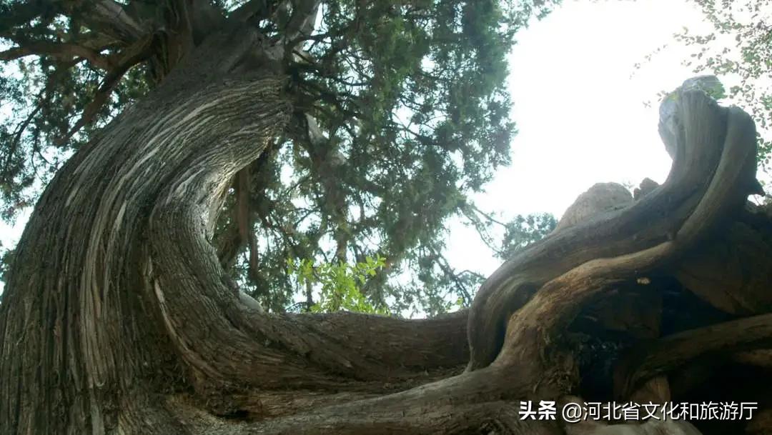 巍巍太行山滔滔洺河水,巍巍太行碧水潺潺