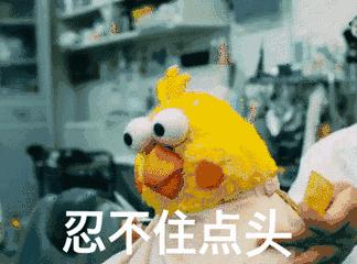 河北工业职业技术学院排名,河北工业职业技术学院发展史