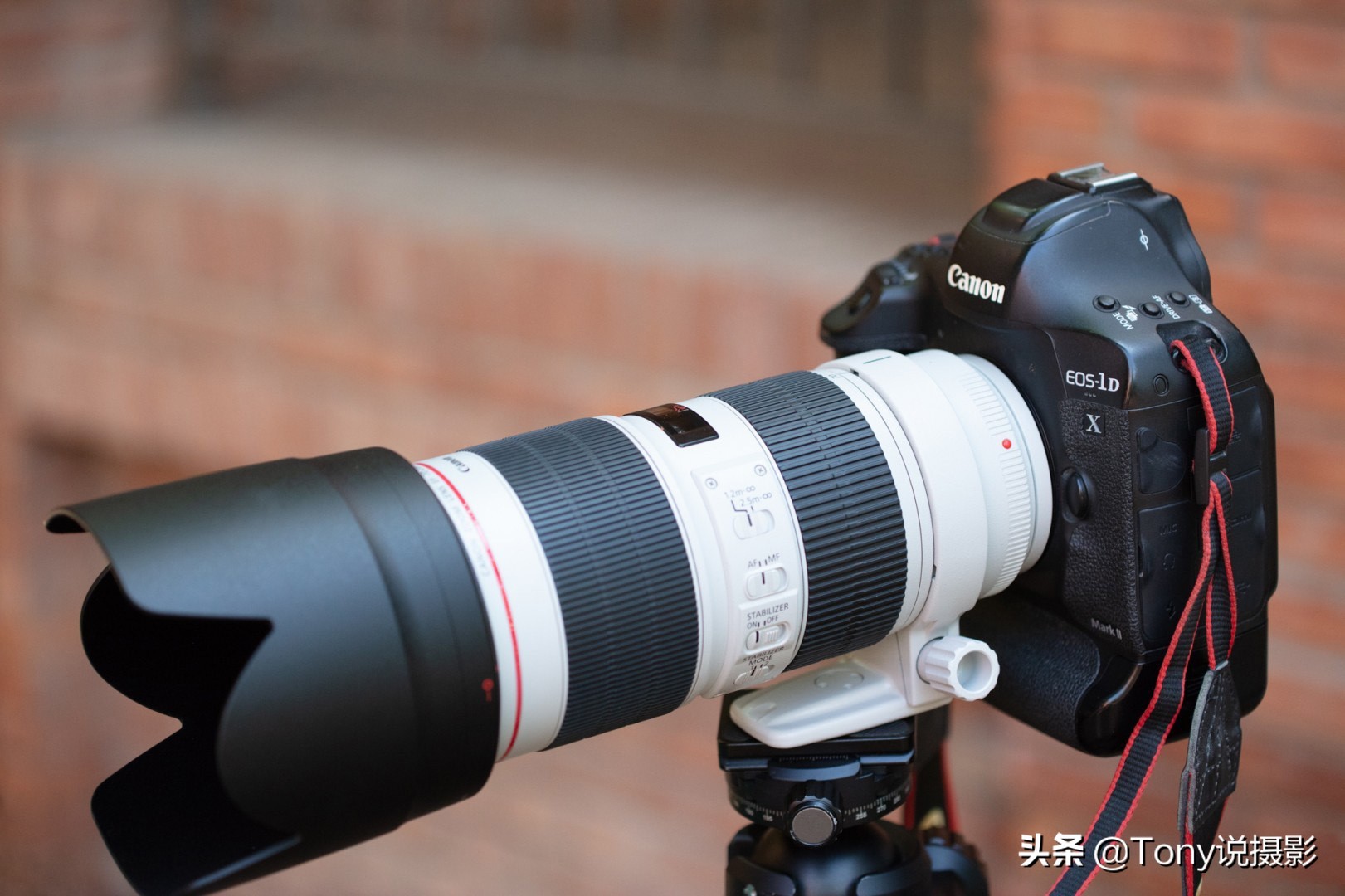 不同摄影题材的镜头选择,摄影打鸟相机镜头推荐