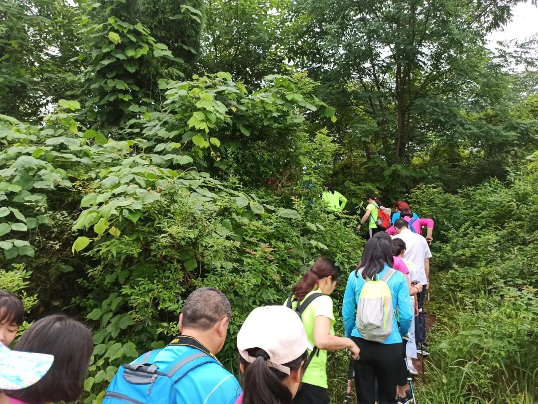 綦江河边有座皇帝“荣赐”的活人祠？