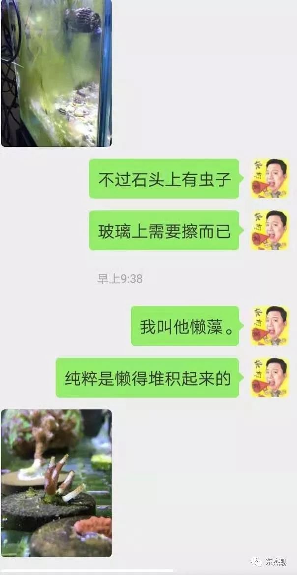 海水鱼缸除藻,海水鱼缸的开缸及爆藻步骤