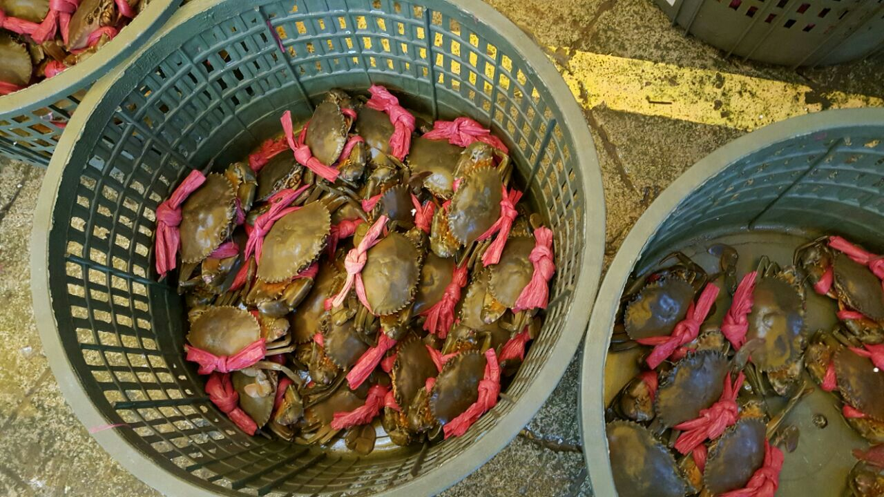 与澳门隔江相望,与澳门隔江相望的地方