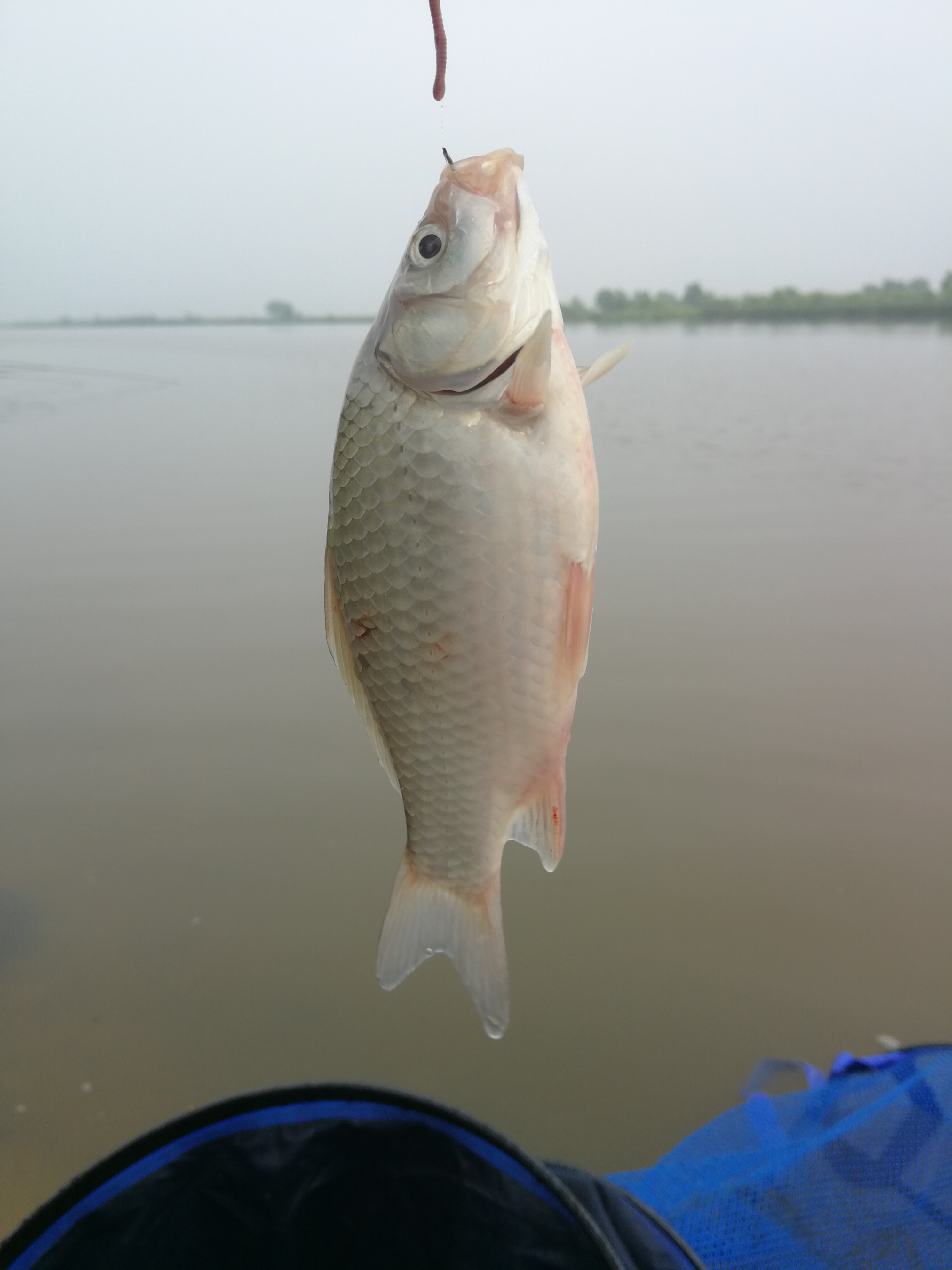 没用完的鱼饵怎么办,没用完的饵料