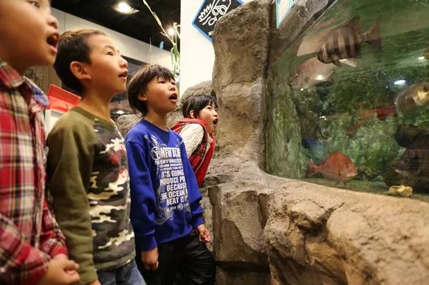 看惯了千篇一律,看惯了千篇一律的风景