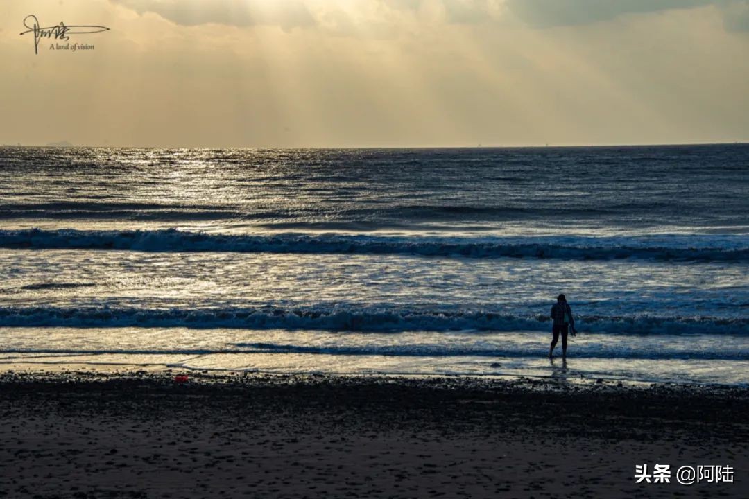 浙江的海水为什么那么浑浊,浙江沿海水为什么是黄的