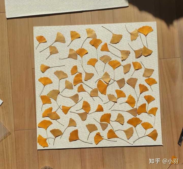 喜欢宅的人改造一个实现梦想的家,喜欢宅在家的人怎么过