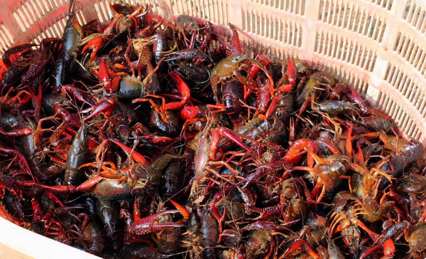 洗小龙虾怎么防止被抓,洗小龙虾用虾粉怎么洗