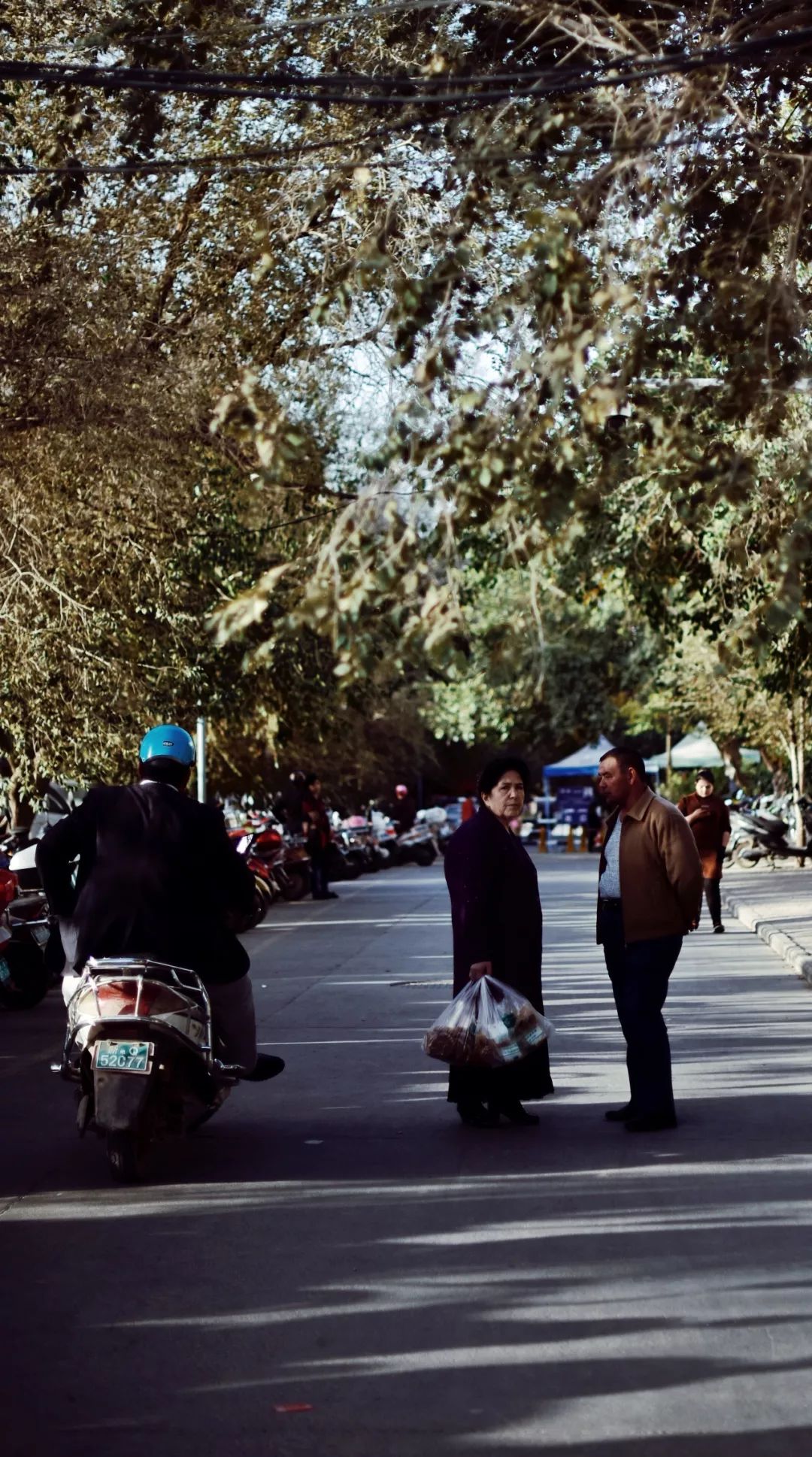 新疆炫富方式是什么,新疆喀什好种的花