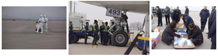 近1000只澳洲“羊妞”乘专机空降太原2018年已连续引进三批次