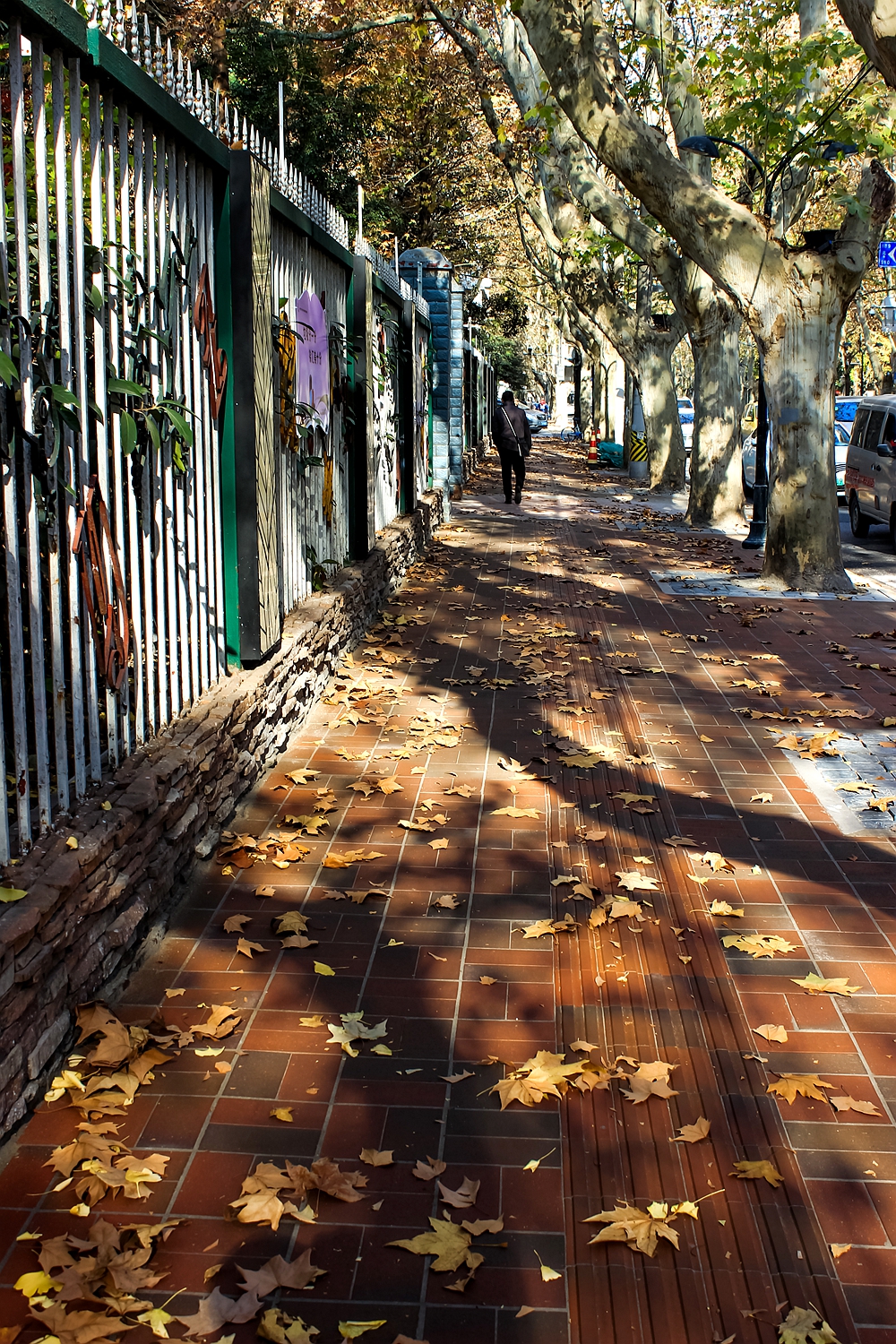 行走老上海全攻略,上海原法租界徒步一日游