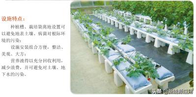 无土栽培营养液有哪些,无土栽培营养液配方表有哪些