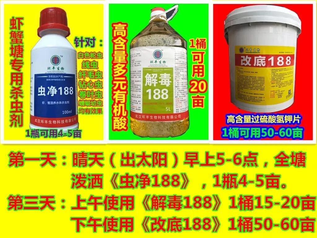 小龙虾养殖前景和市场分析,小龙虾养殖前景及市场分析