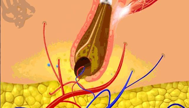 康王之父,康王之父周家礽