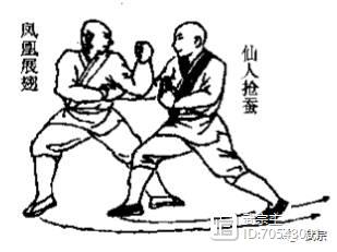 点穴气功十二式教学视频,气功点穴练功十式