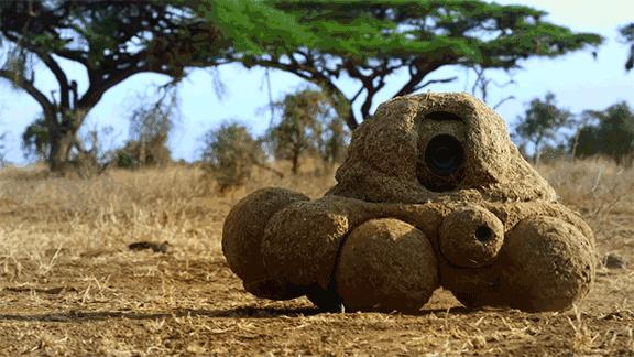 豆瓣9.8分悬疑大片,窥探电视剧豆瓣评分