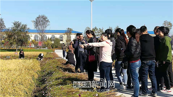 【新时代东北振兴】绥化：生金长银的“都城地”美好生活的“桃花源”