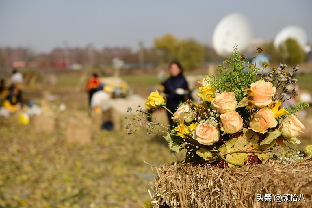 没有比利时花园游，来点比利时啤酒吧|随笔