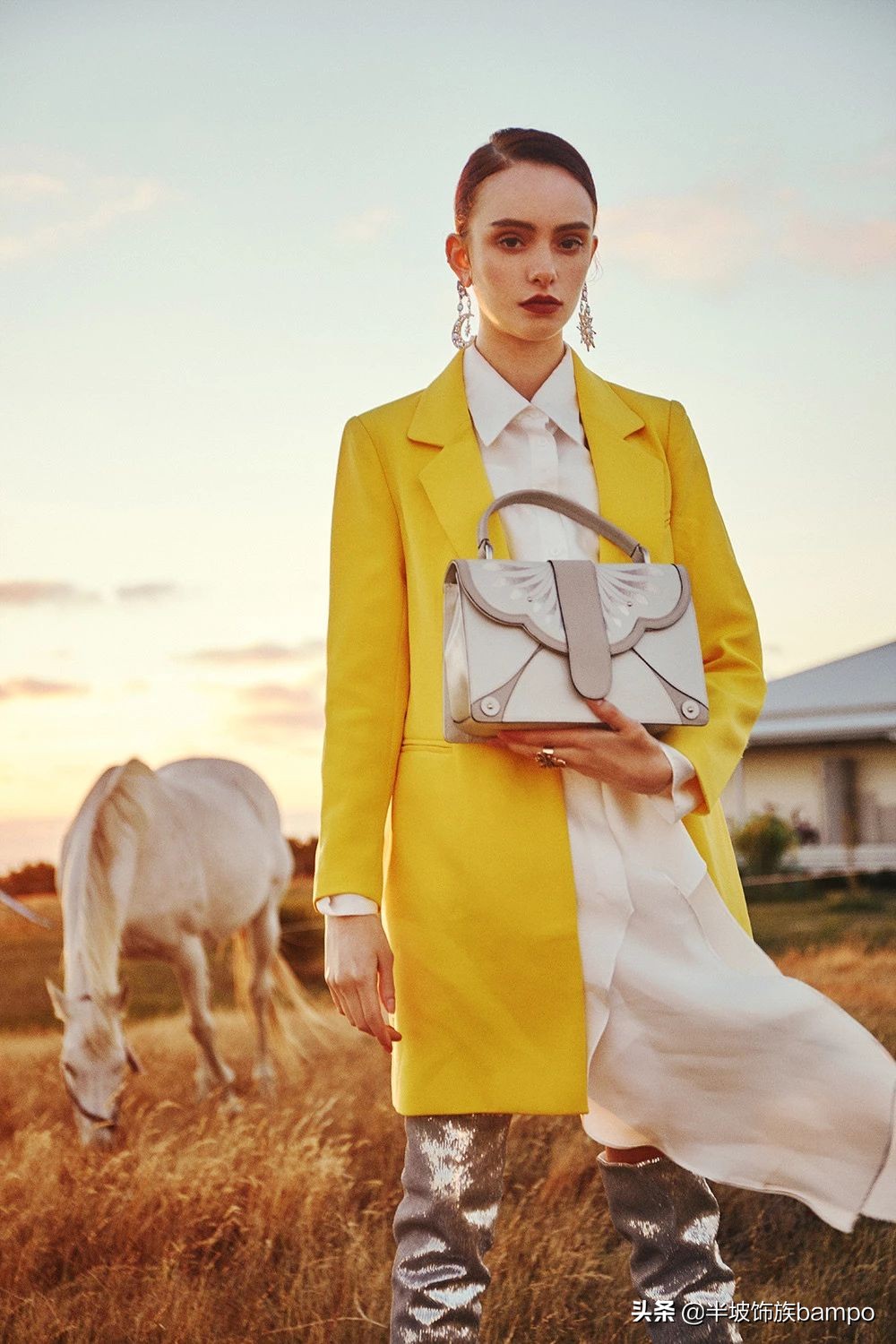 半坡饰族介绍,半坡饰族