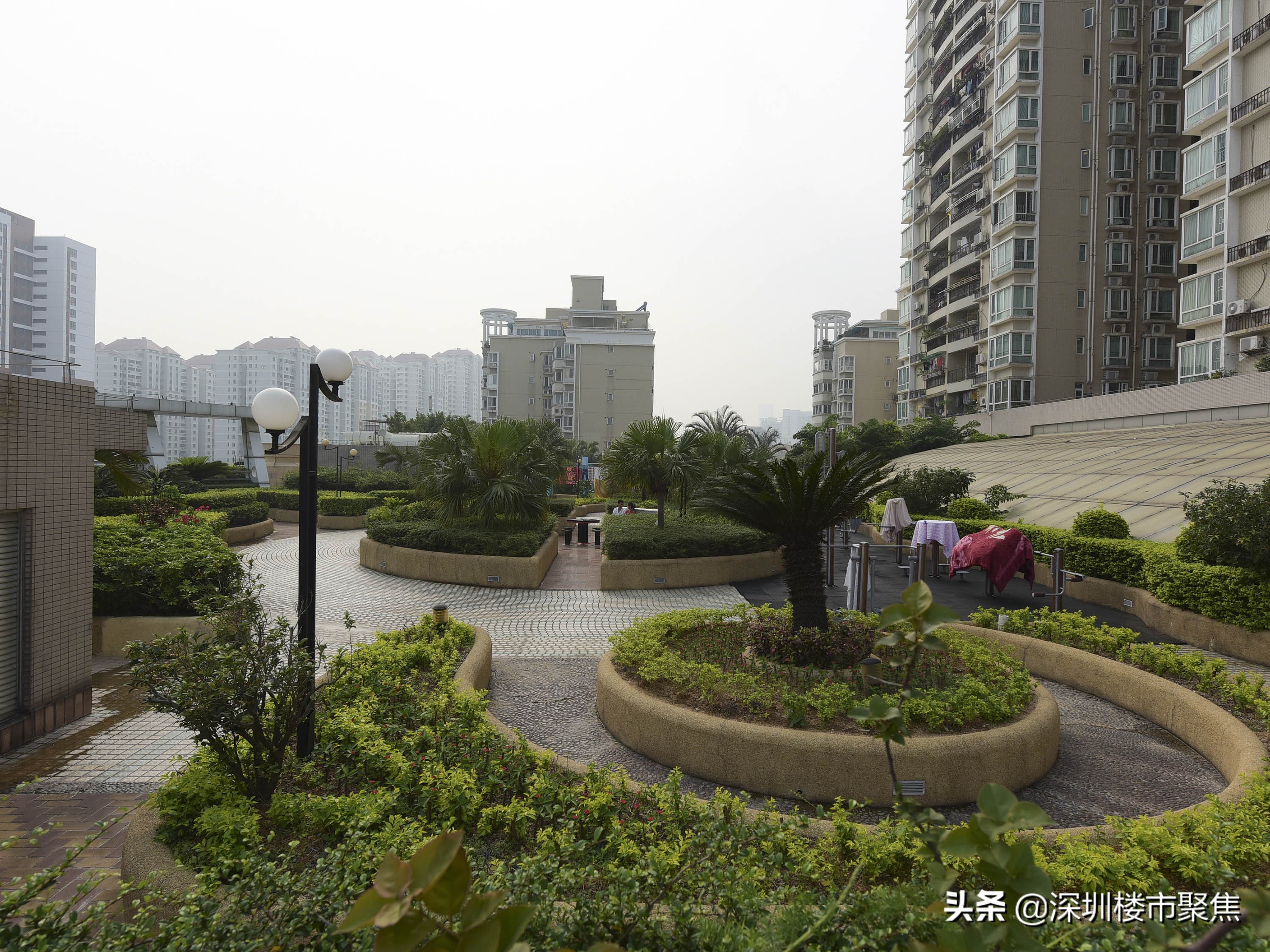 汤唯在深圳红岭中学哪一年的,汤唯的中学