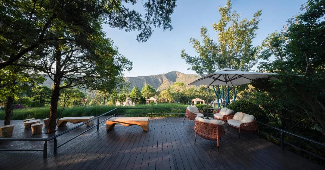 云南一家可以看到雪山的咖啡店,云南伴山咖啡馆