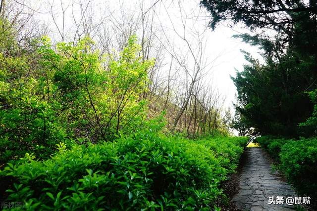 淮南子精神训译文,淮南子兵略训译文