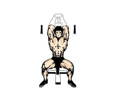 哑铃的正确使用方法锻炼肌肉视频,各种哑铃正确的锻炼身体的教程