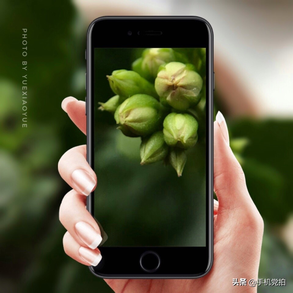 手机照片放大后模糊怎么变清晰,苹果手机拍照模糊怎样才能变清晰