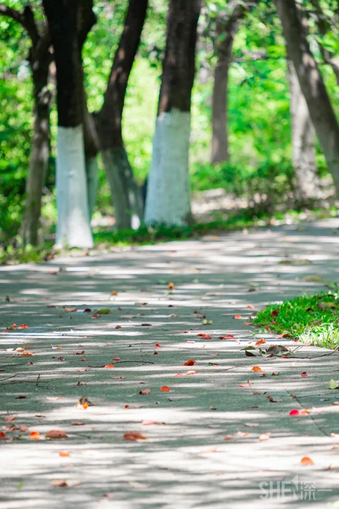 深圳二号线沿线有哪些景点游玩,深圳9号线沿途好玩的地方推荐