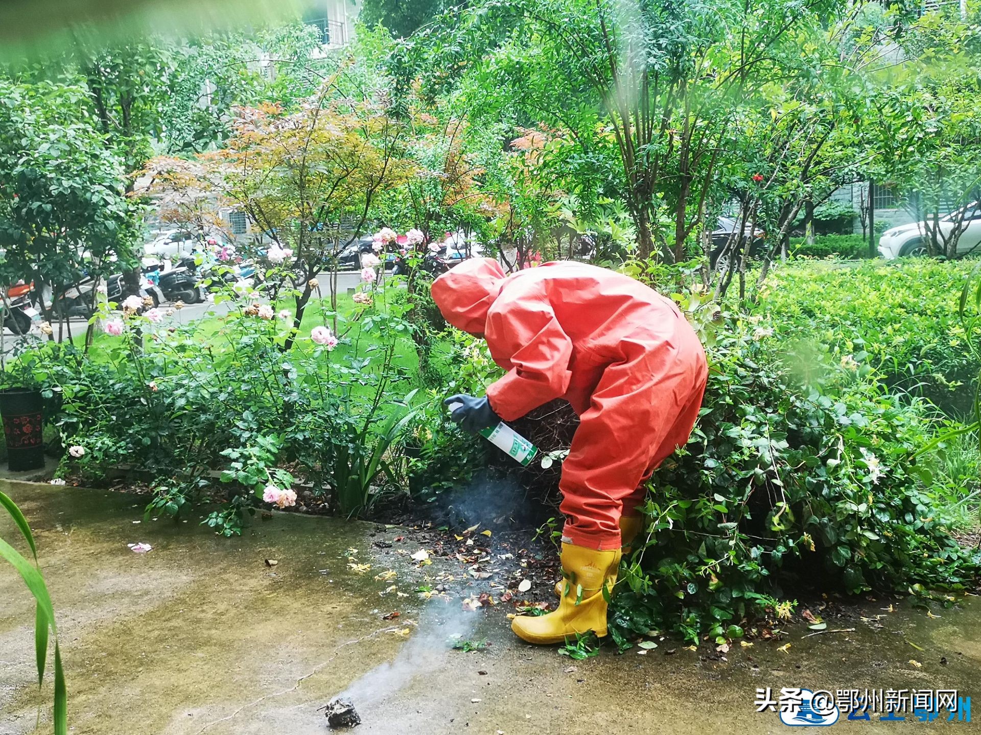 发现有马蜂窝怎么正确向消防求助,家里有马蜂窝打119不来处理怎么办